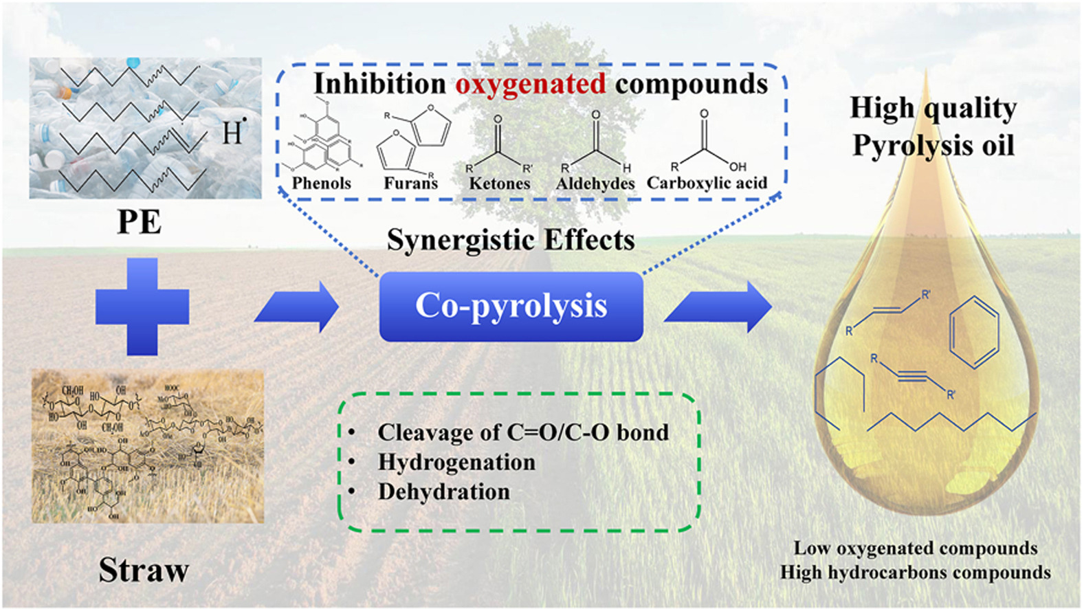 英国上市公司365